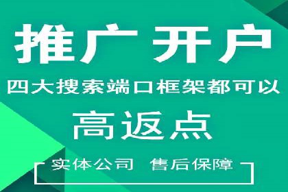揭秘百度竞价代理：实战案例分析